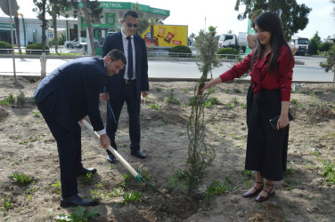 Şirvan şəhərində Ümummilli lider, Ulu Öndər Heydər Əliyevin anadan olmasının 102-ci ildönümü münasibətilə növbəti ağacəkmə aksiyası keçirilib.