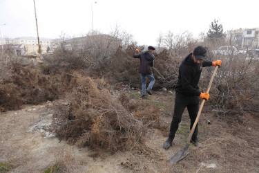 Şirvan şəhərində növbəti iməcilik Ln-t İbrahimov  və S.Zeynalov küçələrində təşkil olunub.