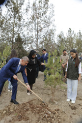 Şirvan şəhərində 27 sentyabr - Anım Günü münasibətilə ağacəkmə aksiyası keçirilib.