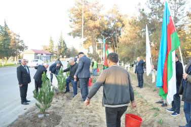 Şirvanda Yeni Azərbaycan Partiyasının təsis edilməsinin 32 illiyinə həsr olunmuş ağacəkmə aksiyası keçirilib.