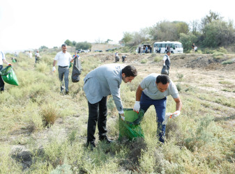 Şirvanda növbəti təmizlik aksiyası keçirilib 05.08.2023