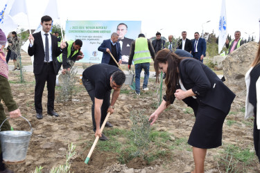 Şirvanda Ümummili lider Heydər Əliyevin anadan olmasının 100 illiyinə həsr olunmuş növbəti ağacəkmə aksiyası keçirilib.