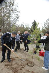 Şirvan şəhərində 27 sentyabr - Anım Günü münasibətilə ağacəkmə aksiyası keçirilib.