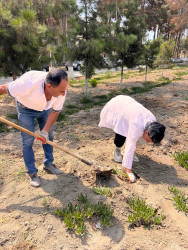 Şirvan şəhərində növbəti iməcilik təşkil olunub.