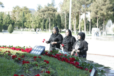 27 sentyabr Anım Günü Şirvanda silsilə tədbirlərlə qeyd edilib.