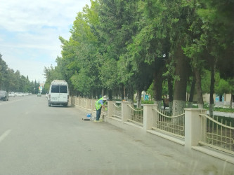 Şirvanda “Şəhərsalma və Memarlıq İli” çərçivəsində görülən abadlıq işləri davam etdirilir.