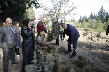 Şirvanda 8 Noyabr - Zəfər Gününün dördüncü ildönümünə həsr edilən silsilə tədbirlər keçirilir.