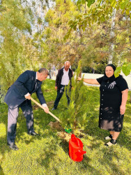 Şirvanda Anım Gününə həsr olunmuş ağacəkmə aksiyası keçirilib