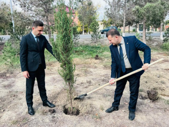 Zəfər Günü münasibətilə ağacəkmə aksiyası keçirilib.