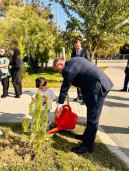 Şirvanda Anım Gününə həsr olunmuş ağacəkmə aksiyası keçirilib