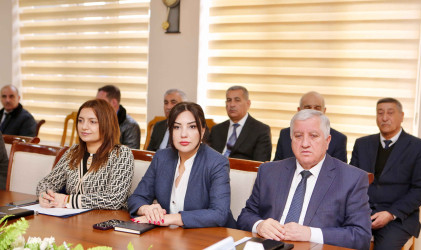 Şirvan Şəhər İcra Hakimiyyətinin başçısı İlqar Abbasov növbəti vətəndaş qəbulu keçirib.