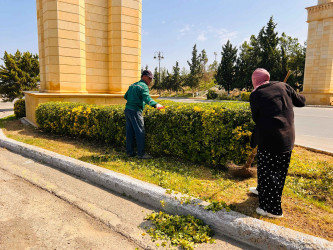 Şirvan şəhərində növbəti iməcilik təşkil olunub.