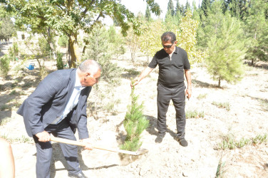 Şirvan şəhərində 27 Sentyabr – Anım Gününə həsr olunmuş tədbir keçirilib.