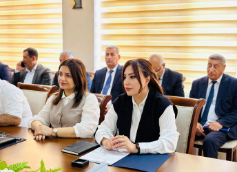 Şirvan Şəhər İcra Hakimiyyətinin başçısı İlqar Abbasov növbəti vətəndaş qəbulu keçirib.