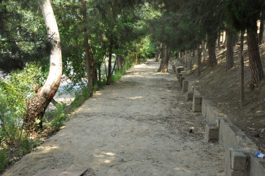 Şirvanda “Şəhərsalma və Memarlıq İli” çərçivəsində görülən abadlıq işləri davam etdirilir.