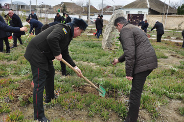 Şirvanda Xocalı soyqırımı qurbanlarının xatirəsinə həsr olunmuş ağacəkmə aksiyası keçirilib.