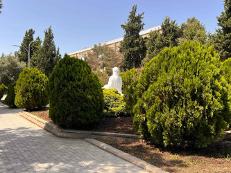 Şirvan şəhərində növbəti iməcilik təşkil olunub.