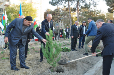 Şirvanda Yeni Azərbaycan Partiyasının təsis edilməsinin 32 illiyinə həsr olunmuş ağacəkmə aksiyası keçirilib.