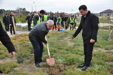 Şirvanda Xocalı soyqırımı qurbanlarının xatirəsinə həsr olunmuş ağacəkmə aksiyası keçirilib.