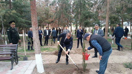 Şirvanda Zəfər Günü münasibətilə ağacəkmə aksiyası keçirilib.