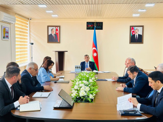 Şirvan Şəhər İcra Hakimiyyətinin başçısı İlqar Abbasov növbəti vətəndaş qəbulu keçirib.