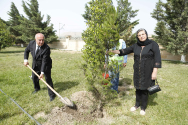 Şirvanda 28 May – Müstəqillik Gününə həsr olunmuş tədbir keçirilib.