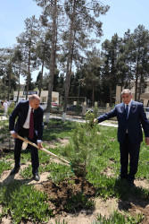 Şirvanda Ulu Öndər Heydər Əliyevin anadan olmasının 102-ci ildönümü münasibətilə ağacəkmə aksiyası keçirilib.