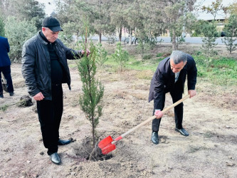 Zəfər Günü münasibətilə ağacəkmə aksiyası keçirilib.
