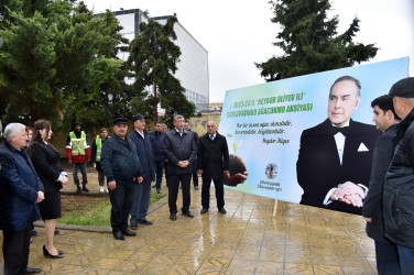 Şirvanda “Heydər Əliyev İli” çərçivəsində ümumşəhər ağacəkmə aksiyası keçirilib.