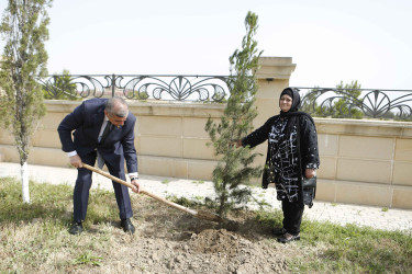 Şirvanda 28 May – Müstəqillik Gününə həsr olunmuş tədbir keçirilib.