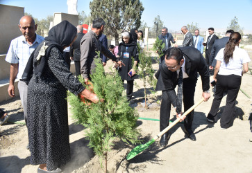 Şirvan şəhərində 27 sentyabr-Anım Günü münasibətilə ağacəkmə aksiyası keçirilib.