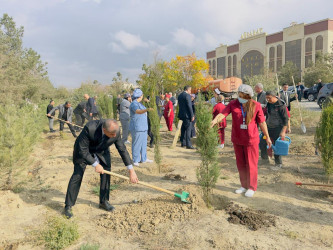 Zəfər Günü münasibətilə ağacəkmə aksiyası keçirilib.