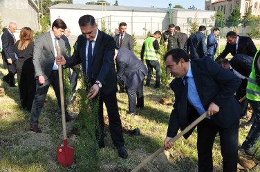 Şirvanda Ulu Öndər Heydər Əliyevin anadan olmasının 103 illiyinə həsr olunmuş ağacəkmə aksiyası keçirilib.