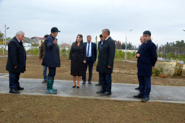 Şirvanda YAP-nın yaranmasının 30 illiyi ilə əlaqədar ağacəkmə aksiyası keçirilib.