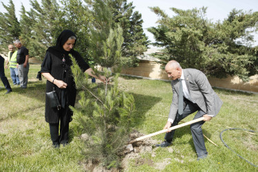 Şirvanda 28 May – Müstəqillik Gününə həsr olunmuş tədbir keçirilib.