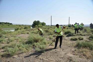 Şirvanda növbəti təmizlik aksiyası keçirilib 15.07.2023