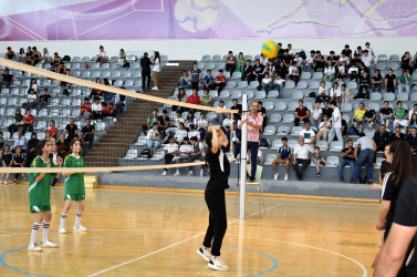 Şirvan şəhərində 28 May - Müstəqillik Gününə həsr olunmuş voleybol idman növü üzrə seleksiya xarakterli yarış keçirilib.