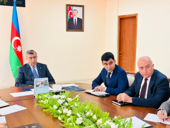 Şirvan Səhər İcra Hakimiyyətinin başçısı İlqar Abbasov növbəti vətəndaş qəbulu keçirib.