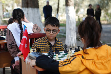 Şirvanda Heydər Əliyevin 100 illiyinə həsr olunmuş şahmat turniri keçirilib.