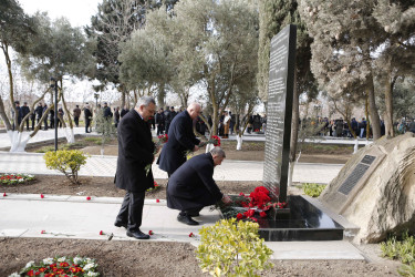 20 Yanvar faciəsinin 35-ci ildönümü Şirvan şəhərində silsilə tədbirlərlə qeyd olunub.