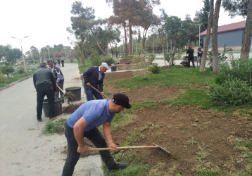 Şirvan şəhərində genişmiqyaslı abadlıq və təmir işləri aparılır.