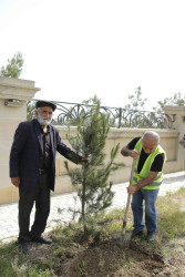 Şirvanda 28 May – Müstəqillik Gününə həsr olunmuş tədbir keçirilib.