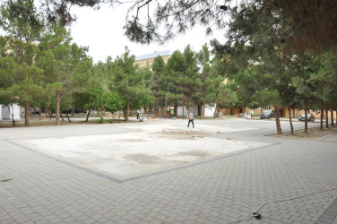 Şirvanda “Şəhərsalma və Memarlıq İli” çərçivəsində görülən abadlıq işləri davam etdirilir.