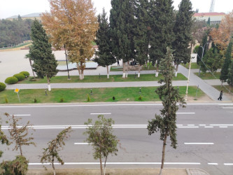 Şirvan şəhərində yol nişanlanma işlərinə başlanılıb.