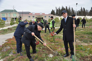 Şirvanda Xocalı soyqırımı qurbanlarının xatirəsinə həsr olunmuş ağacəkmə aksiyası keçirilib.