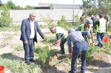 27 sentyabr – Anım Günü Şirvan şəhərində silsilə tədbirlərlə qeyd edilir.