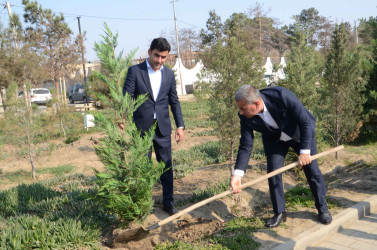 Şirvanda Zəfər Günü münasibətilə Şəhidlər Xiyabanı ziyarət olunub.