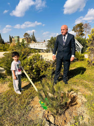 Şirvanda Anım Gününə həsr olunmuş ağacəkmə aksiyası keçirilib