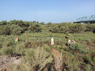 “Konstitusiya və Suverenlik İli” çərçivəsində Şirvanda növbəti təmizlik aksiyası keçirilib.