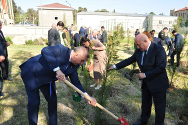 Şirvanda Ulu Öndər Heydər Əliyevin anadan olmasının 103 illiyinə həsr olunmuş ağacəkmə aksiyası keçirilib.